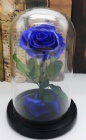 wholesale preserved flowers in glass dome